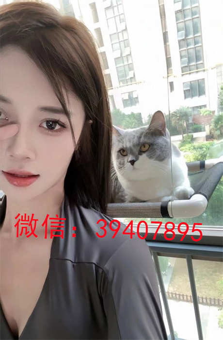 QQ图片20240402145114